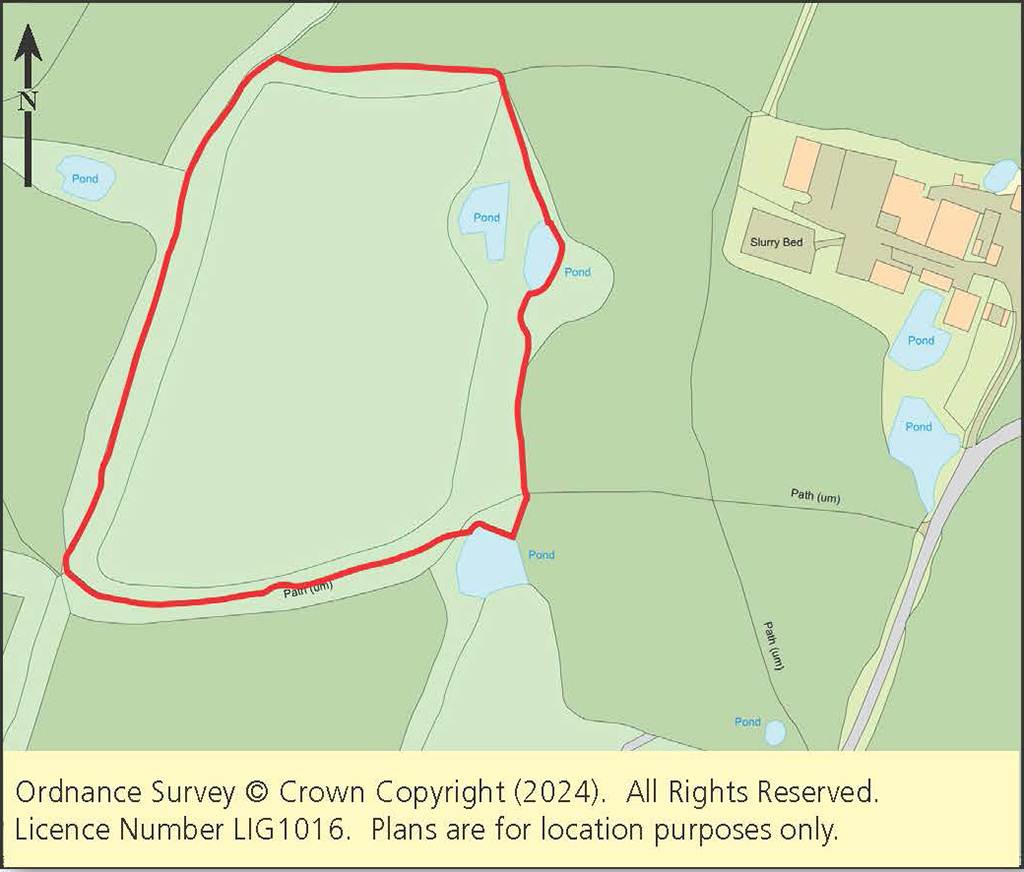 Lot: 89 - FREEHOLD LAND -